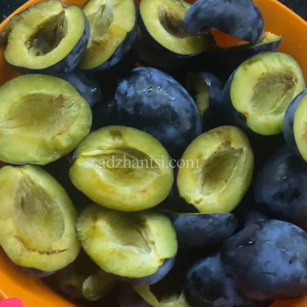 Слива Найболія