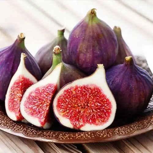 Інжир  "Шервуд" Саджанці дворічні