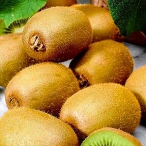 6jp9vjbetx9orx3nu1tcc3sh3pwzyw7c.jpg ПРЕМІУМ Ківі "Мілфорд" (Milford) Самозапильний, середній термін дозрівання