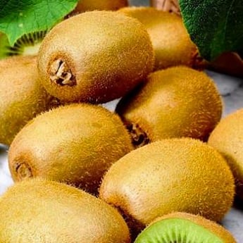 ПРЕМІУМ Ківі "Мілфорд" (Milford) Самозапильний, середній термін дозрівання