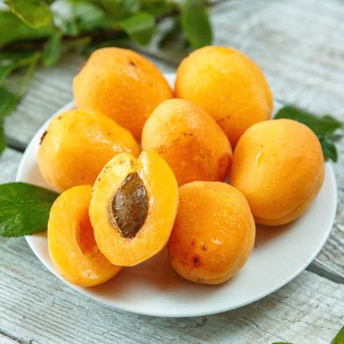 Ананасний Абрикос