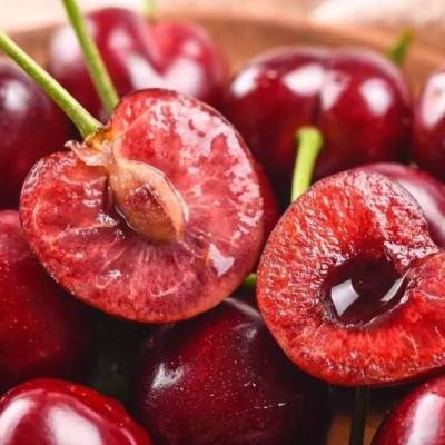 Вишня Королева, колона