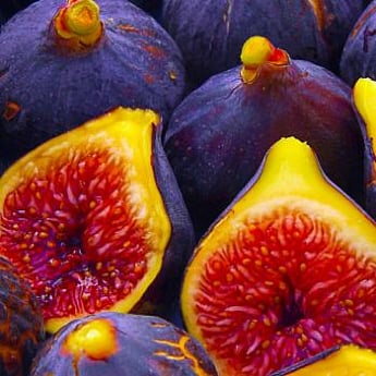 gqs97pt3ajqd0c2nd5m1o6a2aml62z0h.jpg Інжир "Ранок Вероніки" (Morning Veronica) Саджанці дворічні