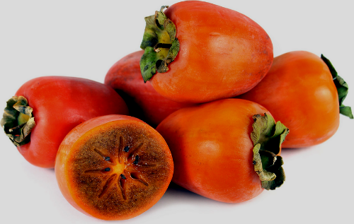 Хурма "Шоколадниця", саджанці привиті,  дворічні, середній термін дозрівання