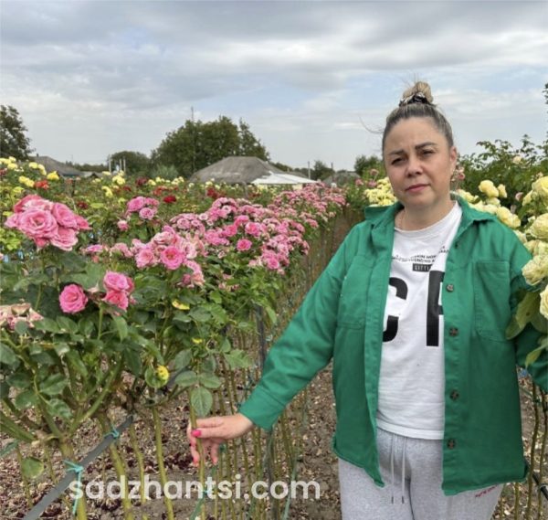 img_1144.jpeg Троянда на штамбі Пінк Піано - СОРТ НЕ ВІДОМИЙ