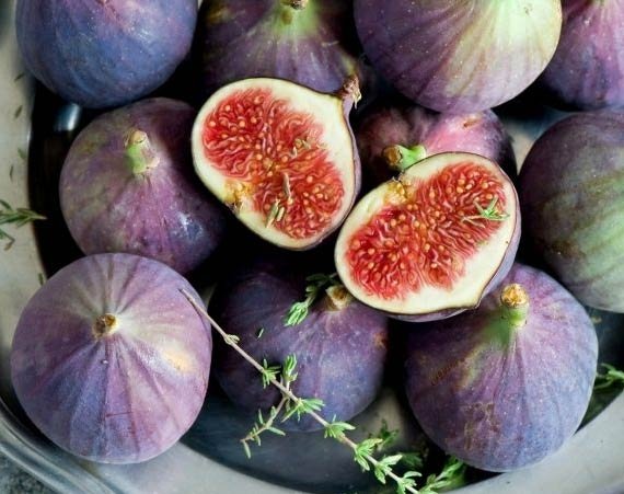 inzhir-kievskij_0.jpg Інжир "Київський великоплідний" Саджанці дворічні