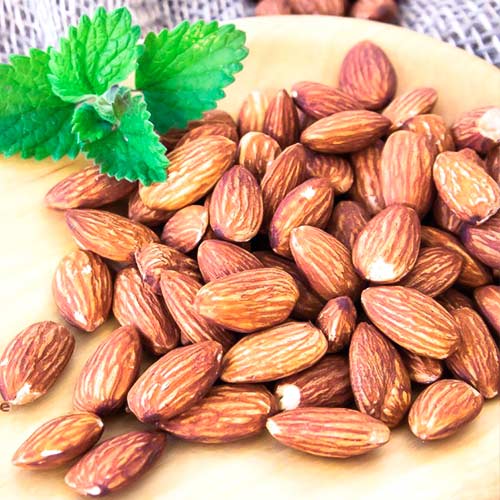 Мигдаль їстівний "Амаретто", саджанці дворічні