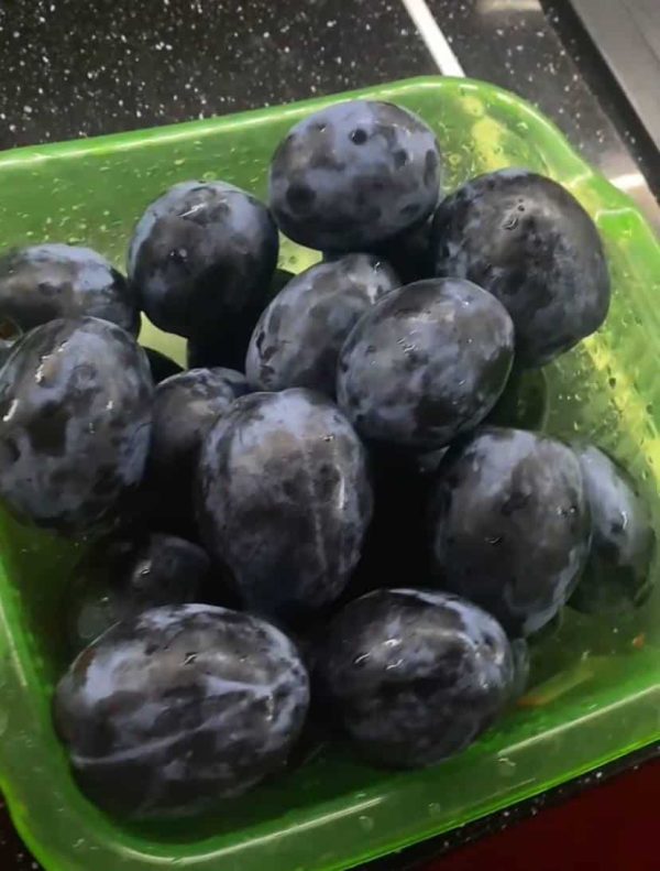 Слива Найболія