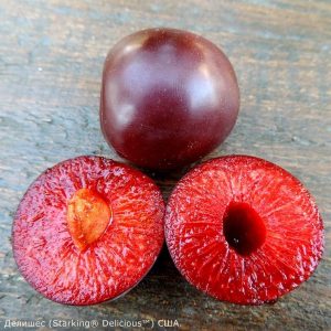 starking-delicious.jpg Слива "Стар Кінг" Делішес диплоїдна (саджанці дворічні)